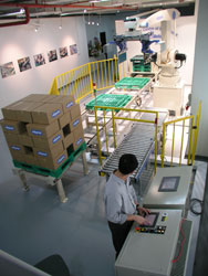 Regional Centre of Excellence for Robot Palletizer