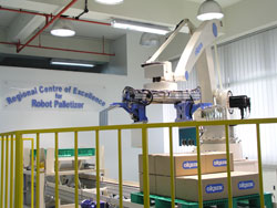 Regional Centre of Excellence for Robot Palletizer